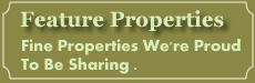 Feature Properties
